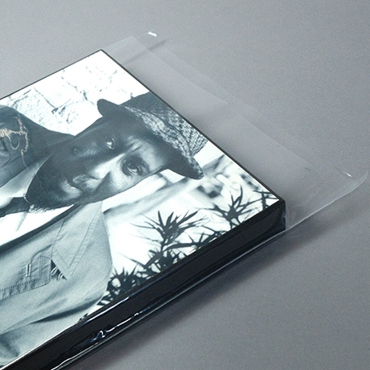 Clear Box Album Sleeves with Flap f